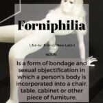 Forniphilia -- another great FRICTIONARY definition from Friction|non|Friction