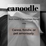Canoodle -- another great FRICTIONARY definition from Friction|non|Friction