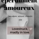 Eperdument Amoureux -- another great FRICTIONARY definition from Friction|non|Friction